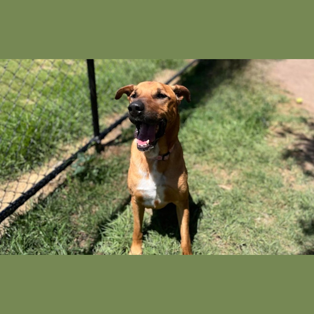 Photo of Motley