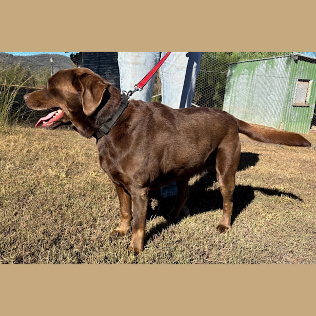 Photo of Maizie