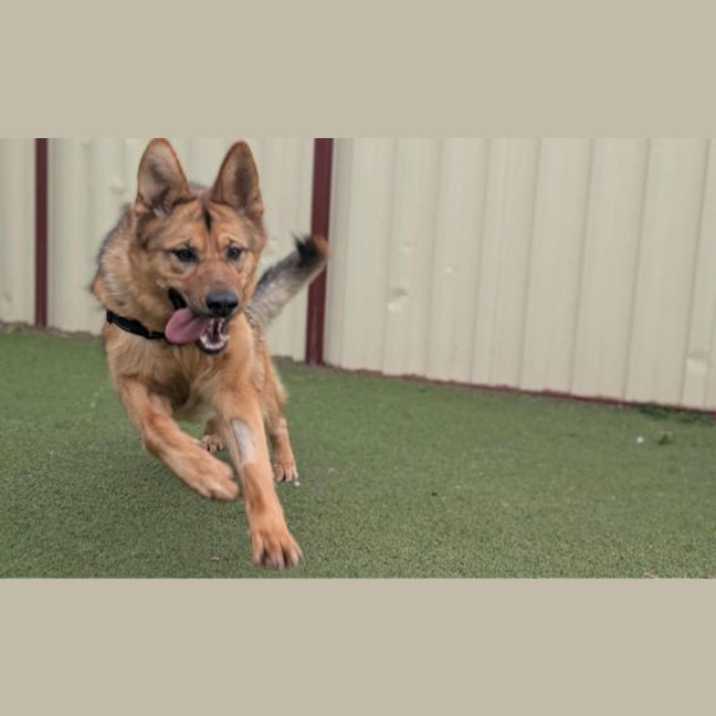 Photo of Roxy 