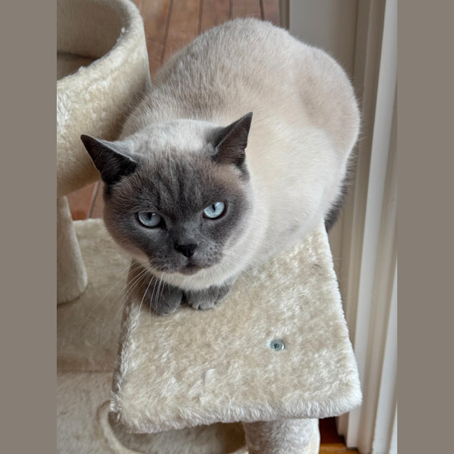 Photo of Ollie & Kobe