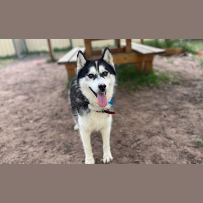 Photo of Tiny Tina