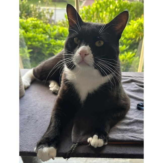 Photo of 12703   Paddy