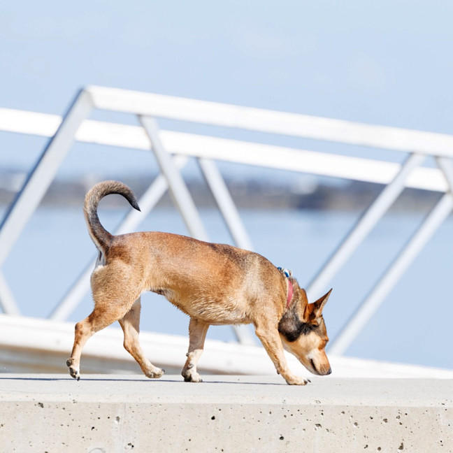 Photo of Milly Milly