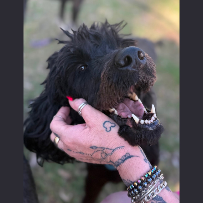 Photo of Koby 