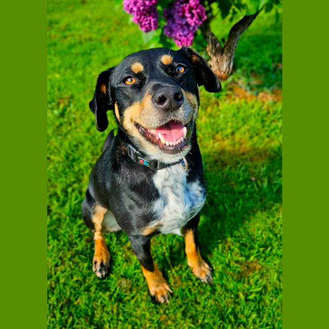 Photo of Kenai