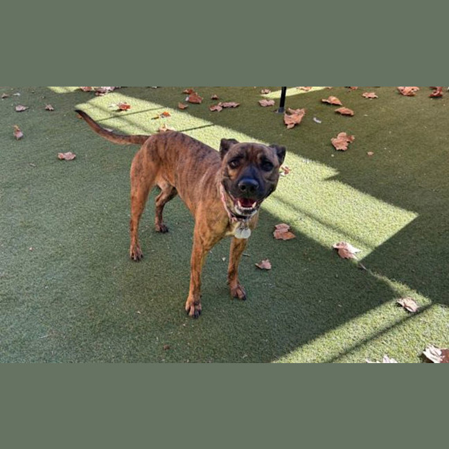 Photo of Jazz