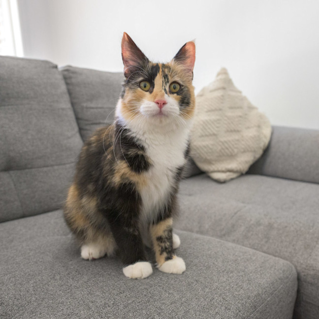 Photo of Jenny 