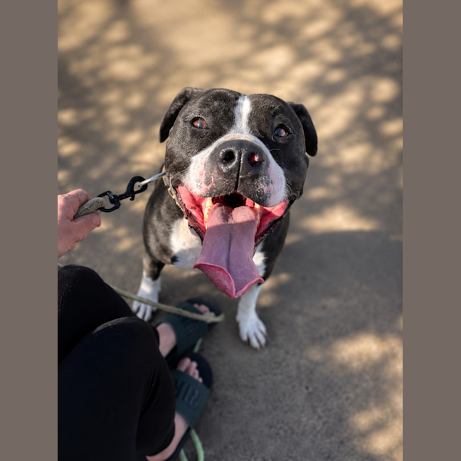 Photo of Maverick