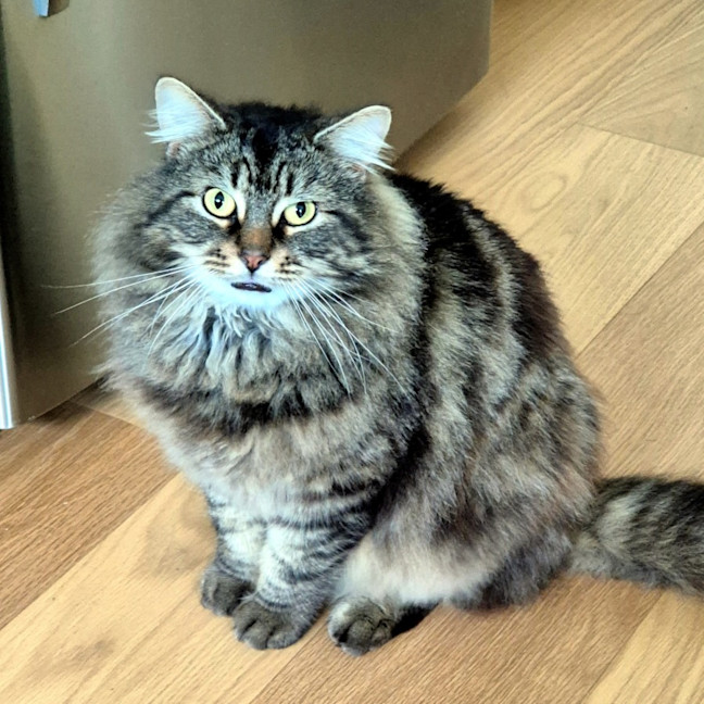 Photo of Jack Sta012765