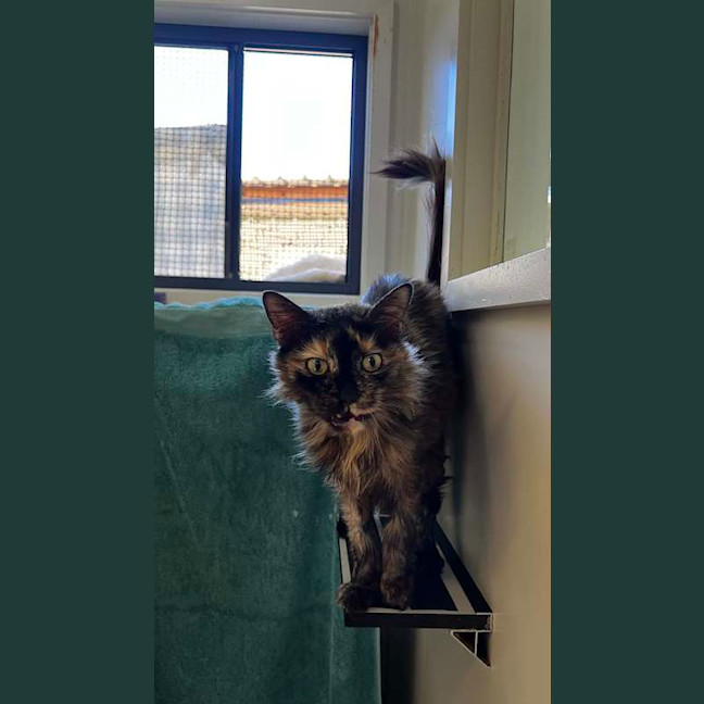 Photo of Princess