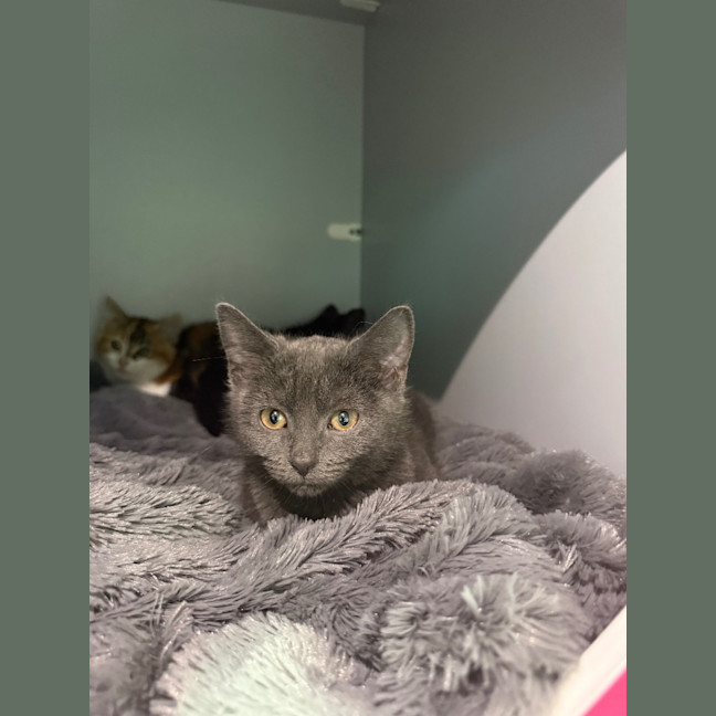 Photo of Maya
