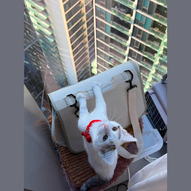 Photo of Wanda