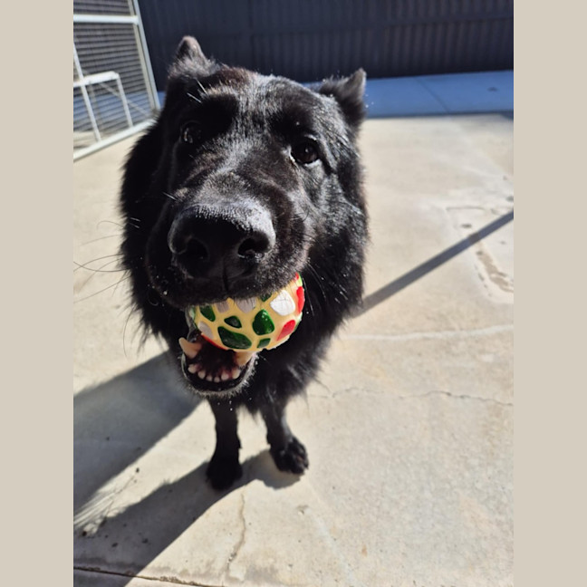 Photo of Archie 💘