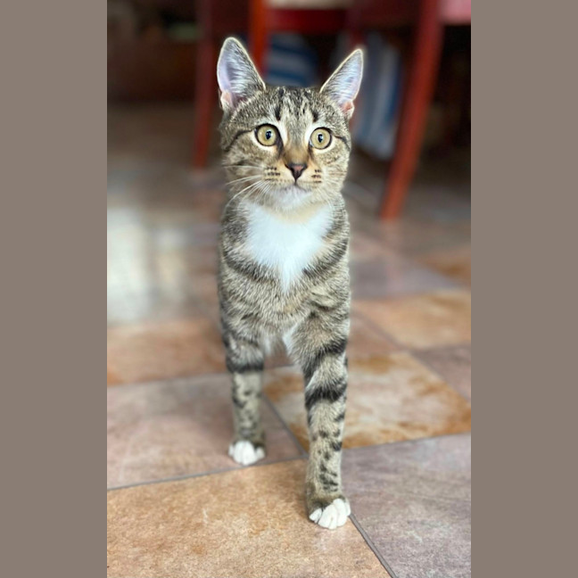 Photo of Bella