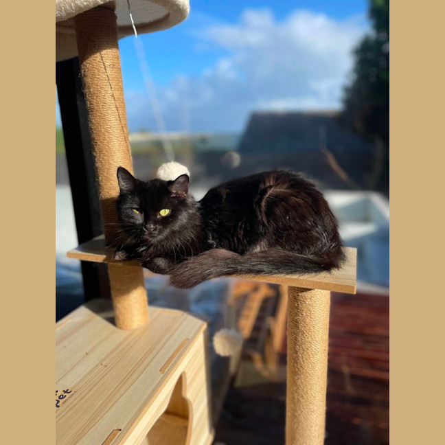 Photo of Frankie & Billie