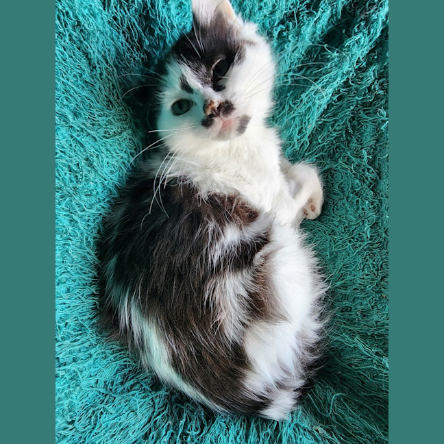 Photo of Matilda 