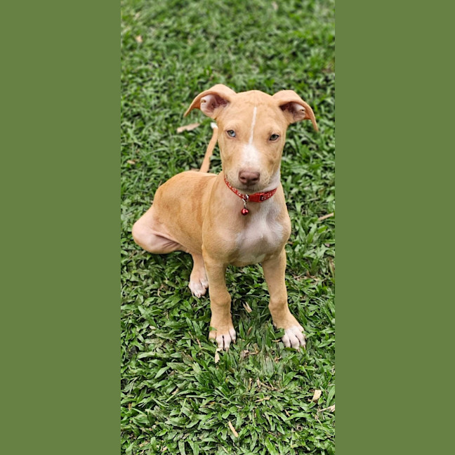 Photo of Doja
