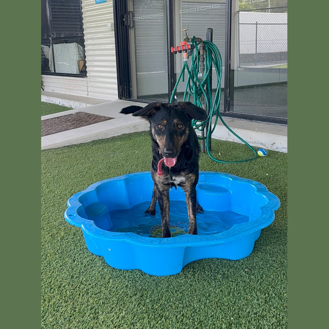 Photo of Lola