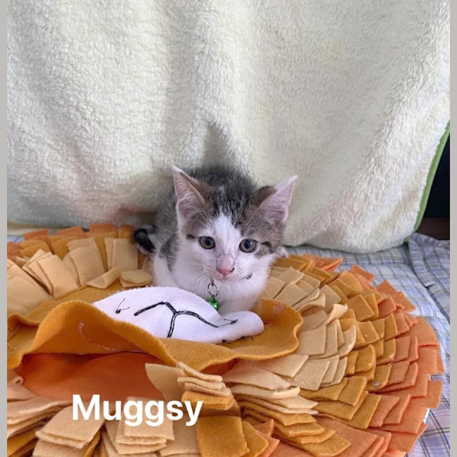 Photo of Muggsy
