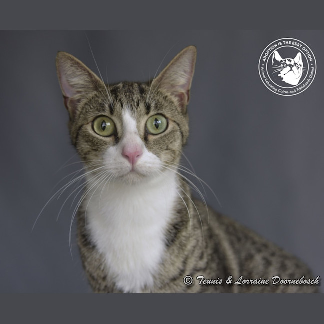 Photo of Dolly Parton