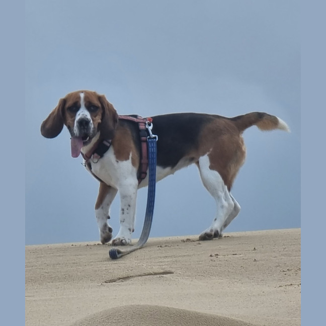 Photo of Betty