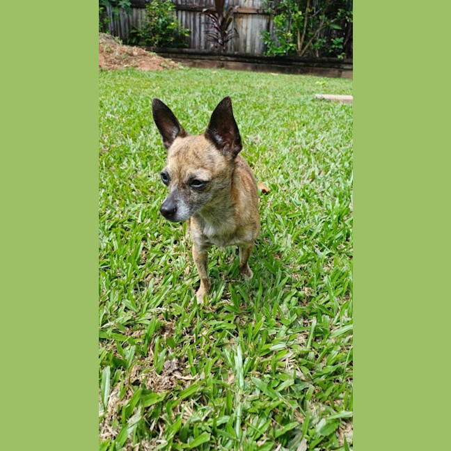 Photo of Milly 