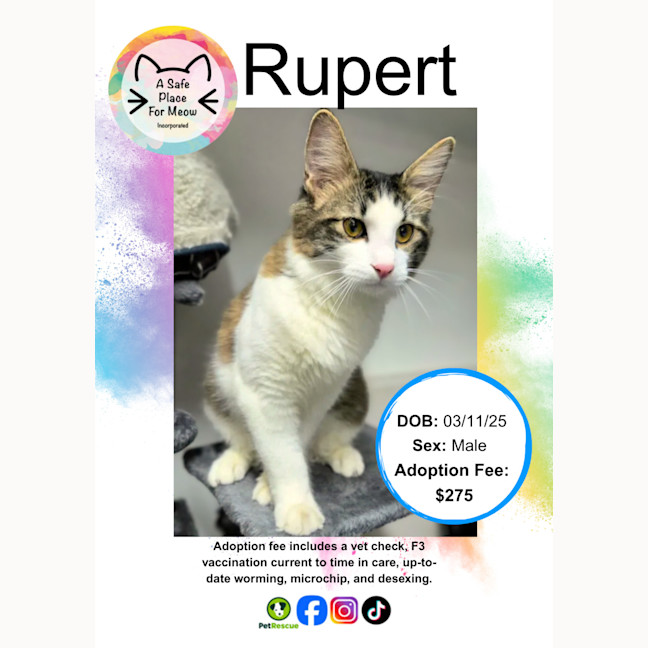 Photo of Rupert