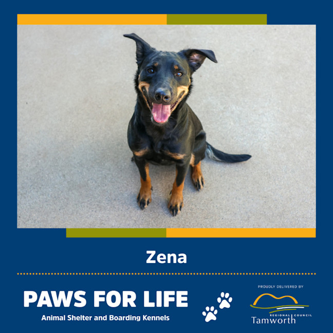 Photo of Zena