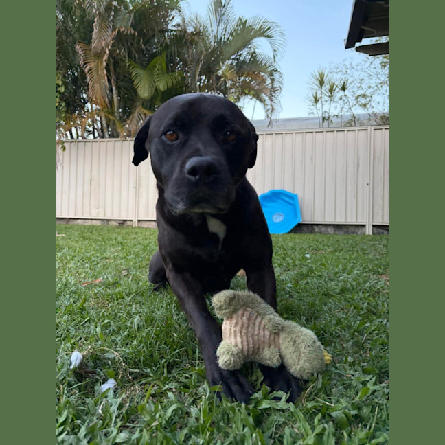 Photo of Axel