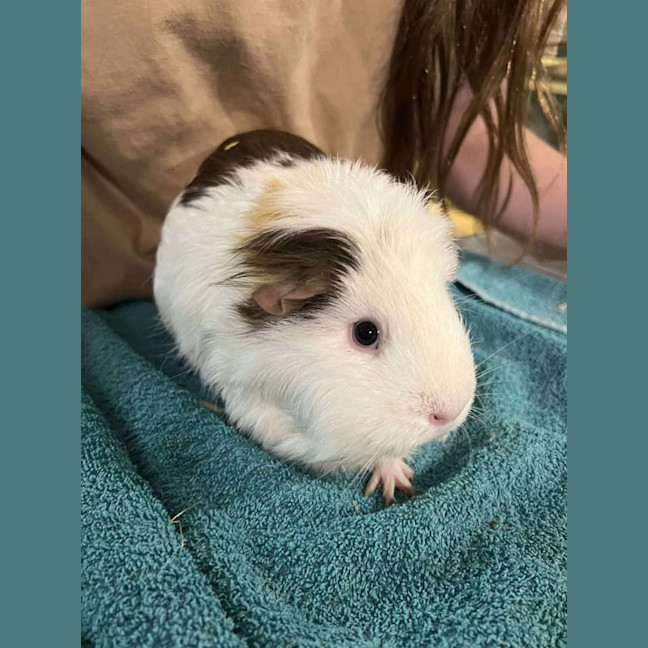 Photo of Gina & Mina