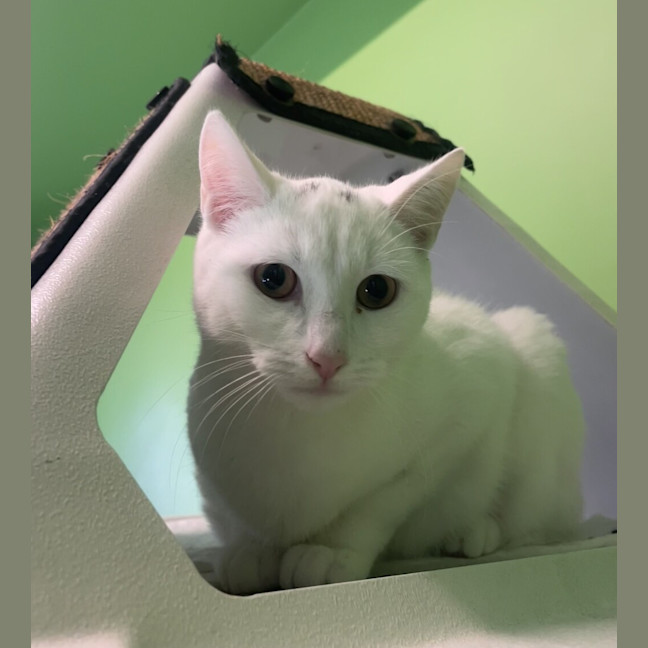 Photo of Sofie