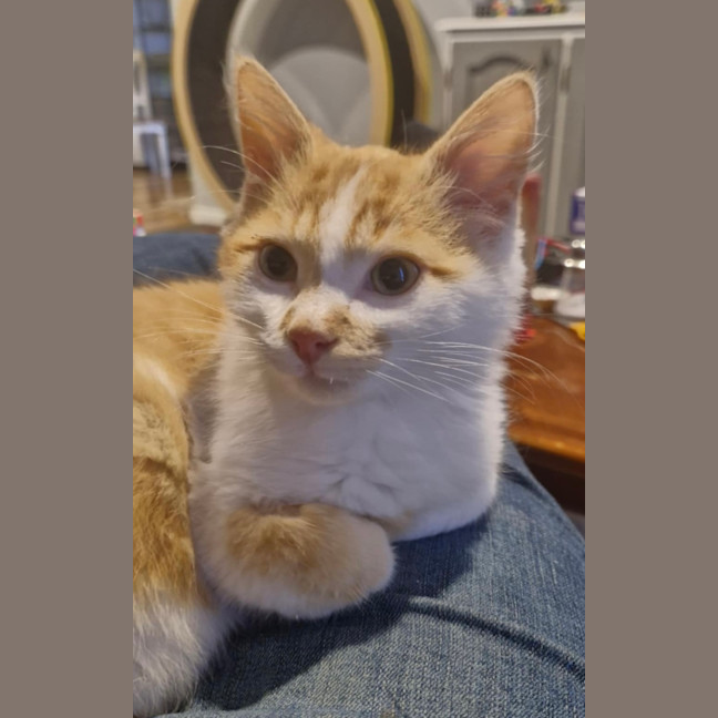 Photo of Oliver 😻🧵🧶