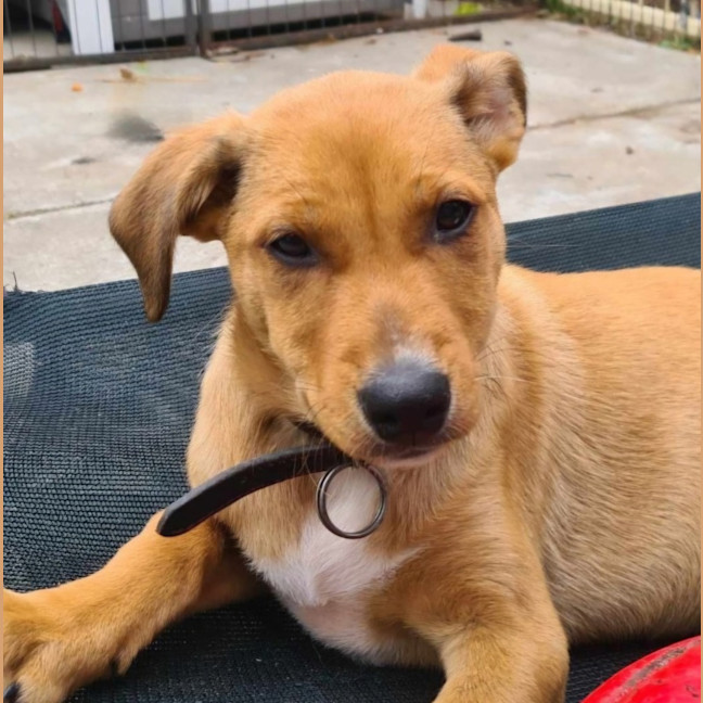 Photo of Lady Mcbeth