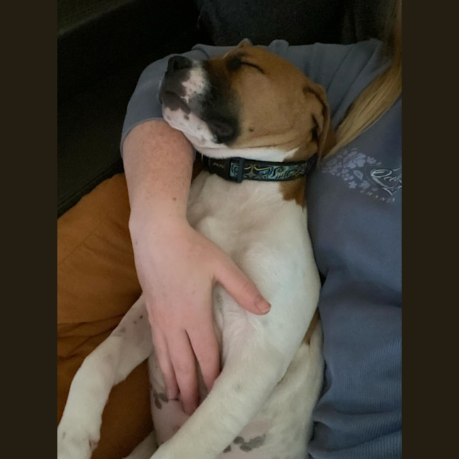 Photo of Freyja