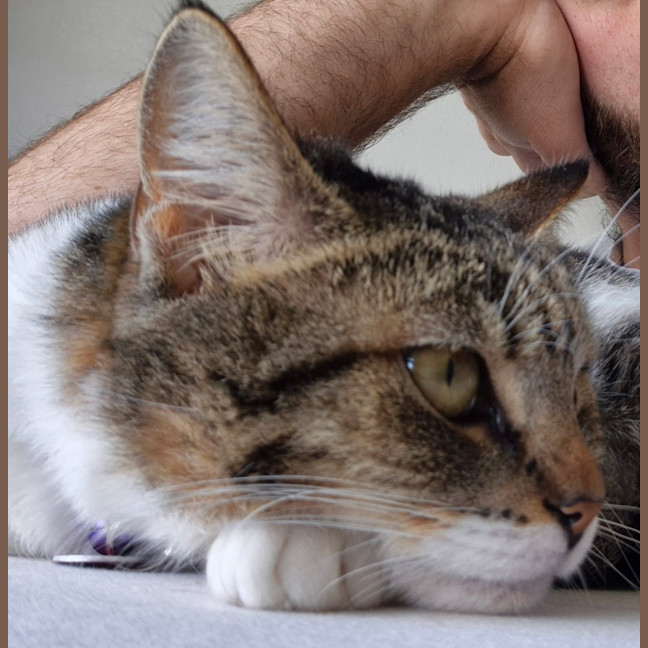 Photo of Bean