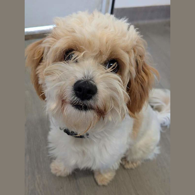 Photo of Twix