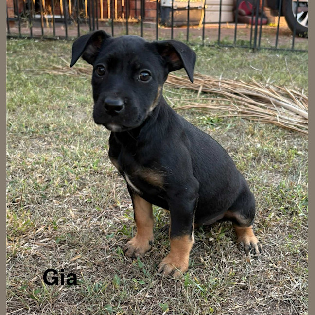 Photo of Gia