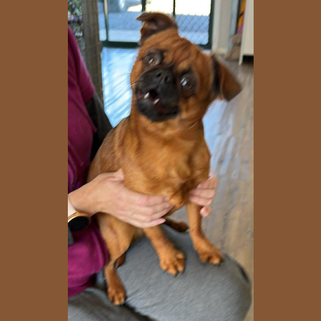 Photo of Lettie