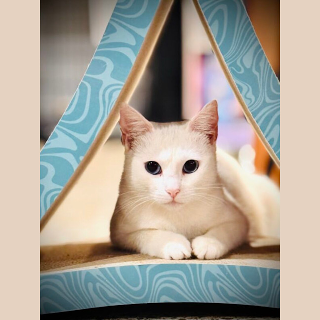 Photo of Antoinette And Angelique