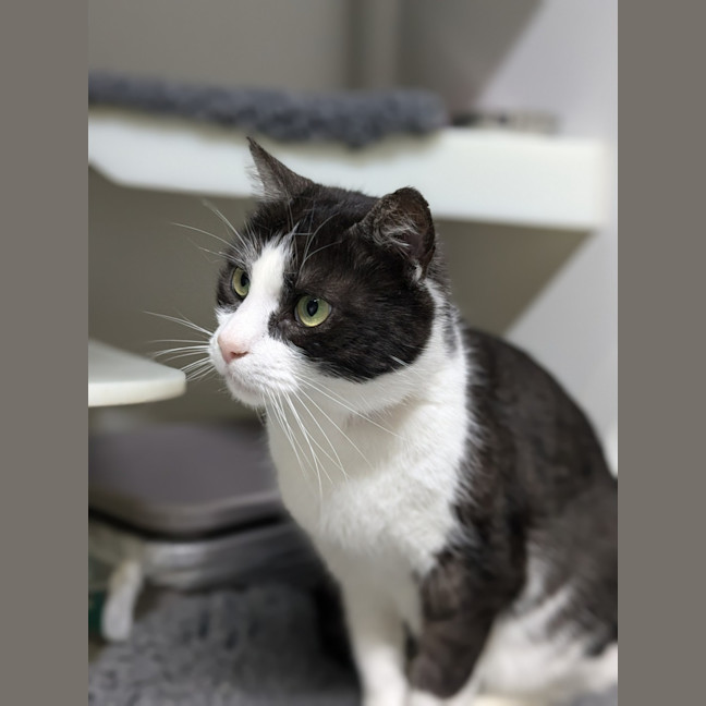 Photo of 🐦 Carlo 5437 🐦