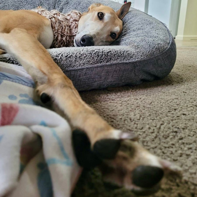 Photo of Jared (Jezza)