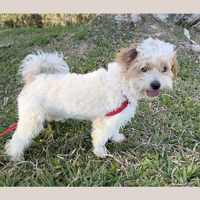 Photo of Twix