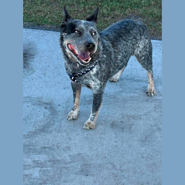 Photo of Bo 