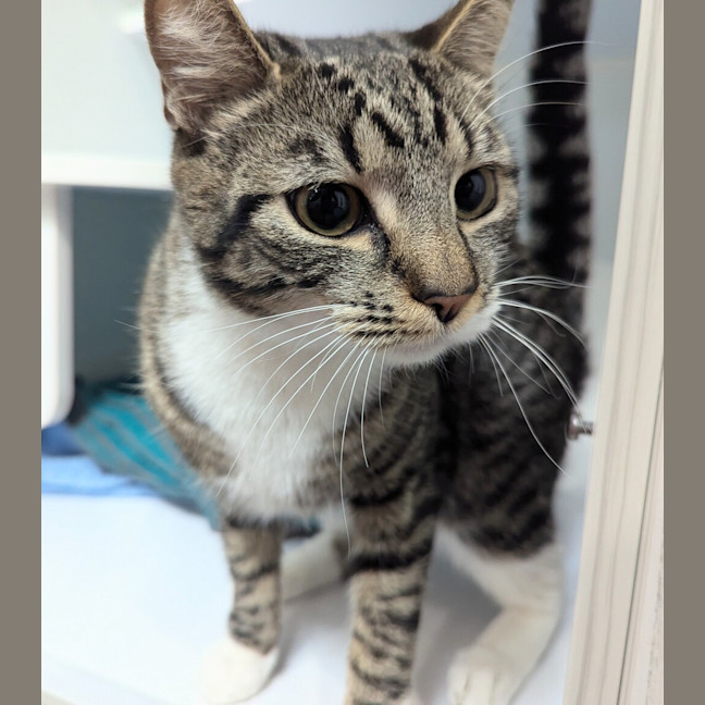Photo of Bonny