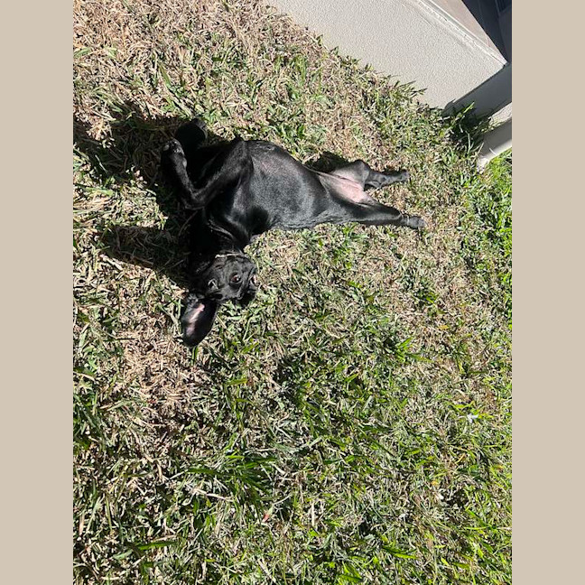 Photo of Lexi