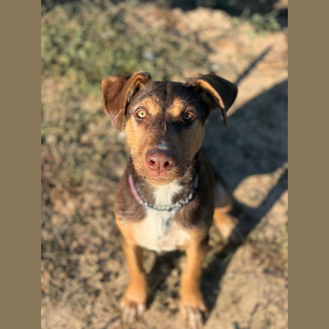 Photo of Winnie