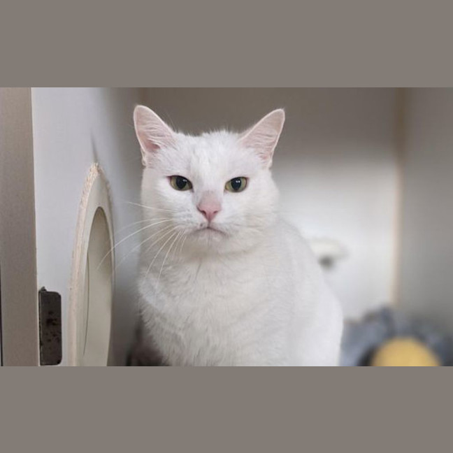 Photo of Amelia