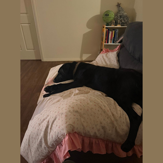 Photo of Rosie