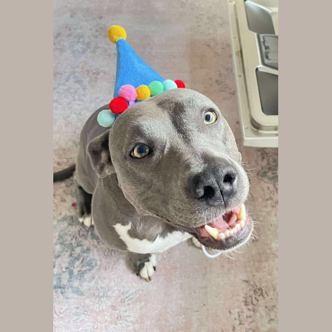 Photo of Bonnie