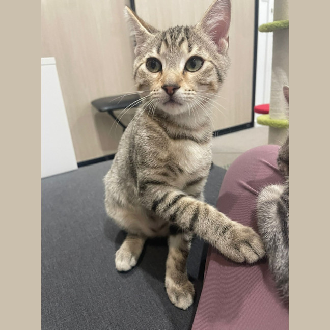 Photo of Louie